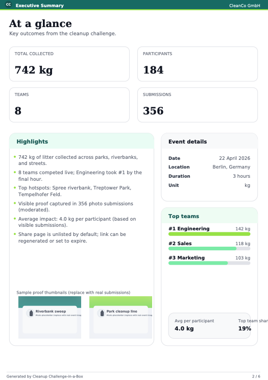 Report preview totals